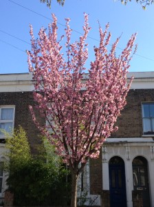 Admit it, you like them :)